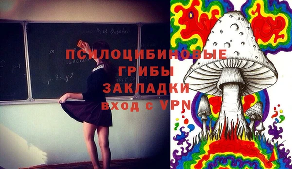 ECSTASY Кинешма