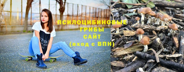 хмурый Киренск