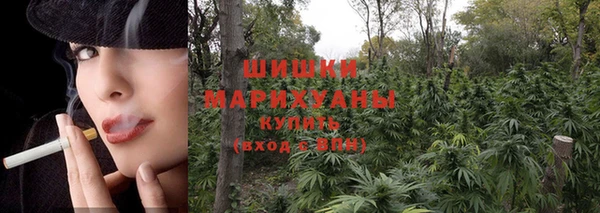 ECSTASY Кинешма